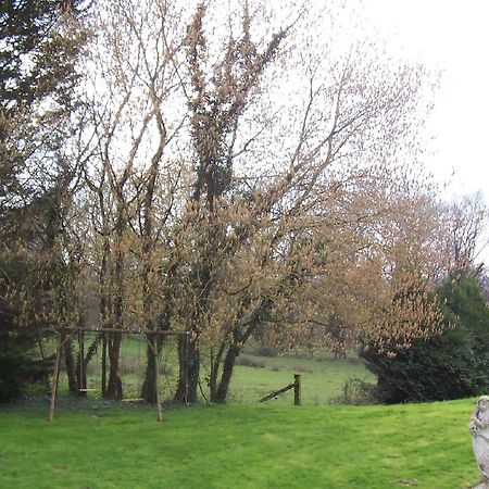 Chateau Champigny Bed and Breakfast Maillet  Εξωτερικό φωτογραφία