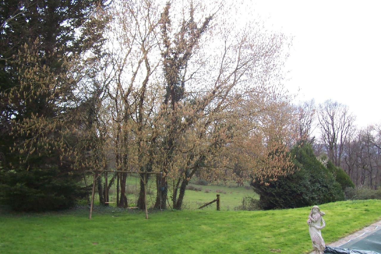 Chateau Champigny Bed and Breakfast Maillet  Εξωτερικό φωτογραφία